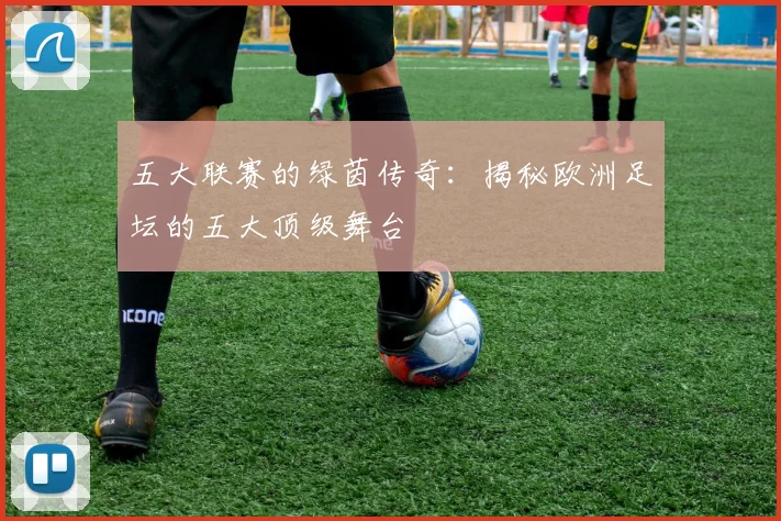 五大联赛的绿茵传奇：揭秘欧洲足坛的五大顶级舞台
