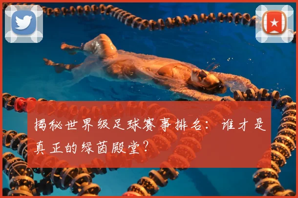 揭秘世界级足球赛事排名：谁才是真正的绿茵殿堂？
