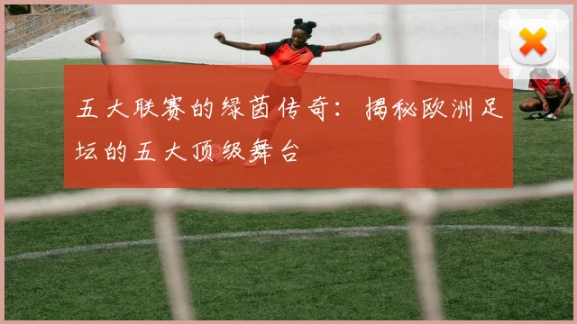 五大联赛的绿茵传奇：揭秘欧洲足坛的五大顶级舞台